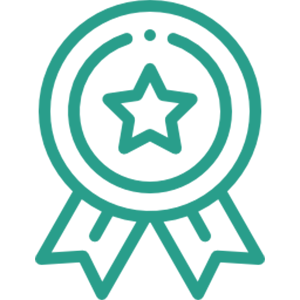 to icon 6